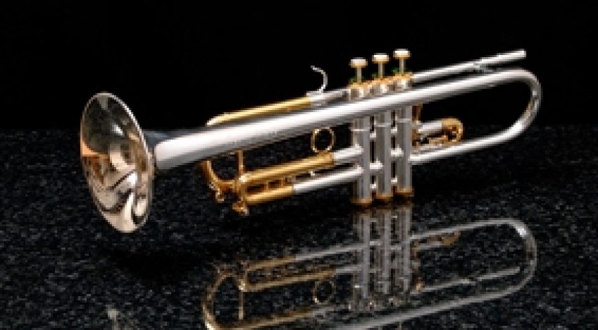 Silver and 24ct Gold Trumpet